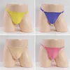 Detachable Sexy Ice Silk Stretch Sheer Low Rise Thong