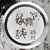 5X Illumination Paperweight Magnifier 6 LED Dome Desktop Magnifier for Reading