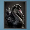 Black Swan-Full Square Diamond Painting(40x50cm)