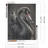 Black Swan-Full Square Diamond Painting(40x50cm)