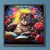 Cat Reading Book Glass Painting-Paint by Numbers Acrylic Painting 40*40CM