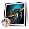 Sea Turtle-Paint by Numbers Acrylic Painting 40*40CM(HOT)