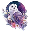 【Limited Stock Sale】Flowers And Owl-Paint by Numbers Acrylic Paintingg 40*40CM(Watercolor)
