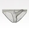Men's Ultra Thin Breathable Mesh Elephant Nose Pouch Triangle Briefs Underwear Hip Coverage Bikini Panties