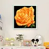 Rose - 9CT Full Beaded Cross Stitch Kit(37x36cm)