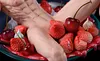 Spring Sweetheart Ver. Sakata Gintoki - GINTAMA Resin Statue - Lust hub Studio