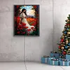 Beauty Glass Painting-Paint by Numbers Acrylic Painting 40*50CM