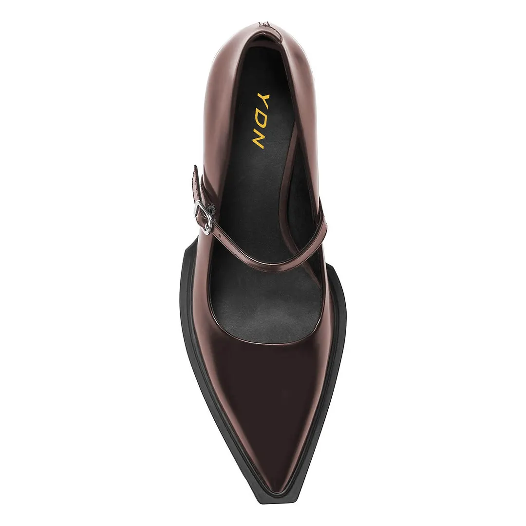 YDN Brown Pointed Toe Buckle Strap Chunky Heel Mary Jane Pumps