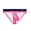 Men's Ultra-Thin Ice Silk Transparent Sexy Low-Rise Briefs