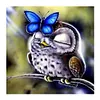 Owl - Full Round Diamond Painting