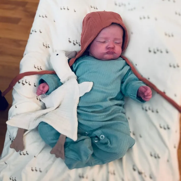 Dollish Lifelike Reborn Baby Doll, Dollishreborndolls