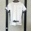 2025/2026 Inter Milan Rossi co-branded edition Football Jersey 1:1 Thai quality love fball