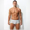 Men's Ultra-Thin Ice Mesh Transparent Sexy Boxers