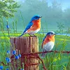 Diamond Painting -DIY Round Drill Birds(40x40cm)