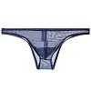 Men's Transparent Ultra-Thin Mesh Low-Waist Sexy Briefs