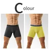 Men's Ice Silk Underwear Sexy Bulge Puch Low Rise See Through Boxer Briefs Thin Cool Boxers Shorts