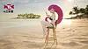1/20 Scale World Zukan Beach Jessie - Pokemon Resin Statue - TS Studios