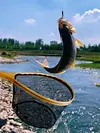 Wooden Handle Fishing Landing Net Soft Rubber Mesh Trout Catch and Release Net