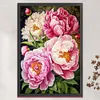 (Big Size)Peony - 11CT Stamped Cross Stitch - 40*60cm - Flower
