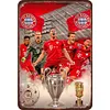 (Multi Style)Football Star - Vintage Metal Signs - 30*40cm