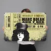 T. Rex - Vintage Metal Signs - 20*30cm/30*40cm - Music