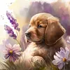Golden Retriever Puppy-Paint by Numbers Acrylic Painting 40*40CM