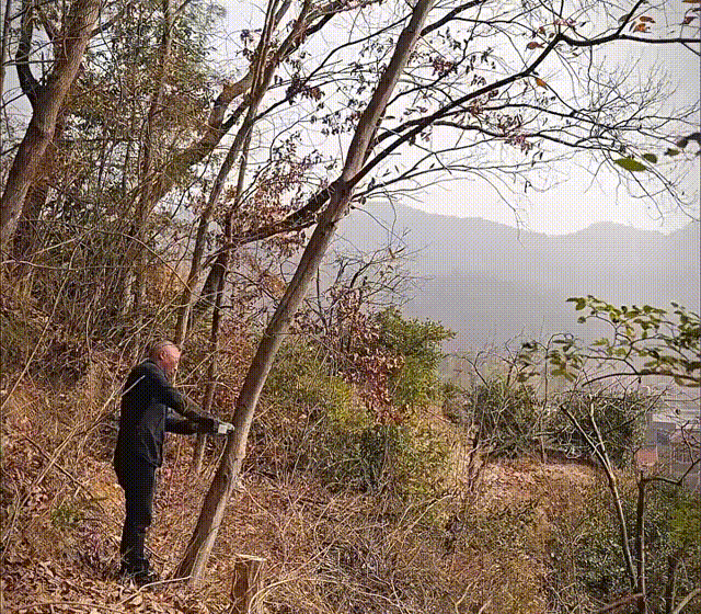1712567720702871.gif