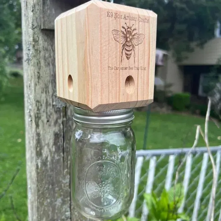 🔥Best Carpenter Bee Trap