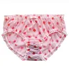 Plus-size mid-waist, hip-hugging, sheer mesh briefs