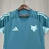2025-2026 Women Cruzeiro Training  Football Shirt 1:1 Thai Quality