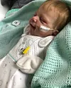 Real looking Reborns 20" Annika Truly Baby Girl Doll, Realistic Newborn Toddler Baby Doll - RBBI-Myrebornbabydoll&reg; Myrebornbabydoll&reg;