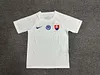 2024 Slovakia Away Football Shirt 1:1 Thai Quality