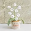 Crochet Flowers Potted Plants Decorative Crochet Ornaments DIY Gifts for Friends
