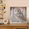 Owl-Partial Special Shaped Diamond Painting 30*30CM