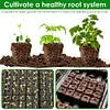 2Pcs Handheld Clod Maker Stainless Steel Soil Blocker Garden Yard Seeding Tool