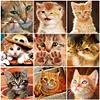 Diamond Painting-DIY Full Drill  Cat