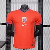 2025 Player Version Norway National Team Home Football Shirt 1:1 Thai Quality