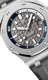 DIVER Grey Dial 42mm