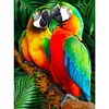 Paint by Numbers Acrylic Painting - Parrot 40*50cm