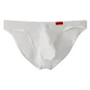 Men's Briefs Sexy Bikini Underwear Thin Stretch Panties Big Pouch Underpants