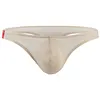 Men's Sexy T-Back Thongs Low Rise Underwear Bulge Pouch Ice Silk Briefs