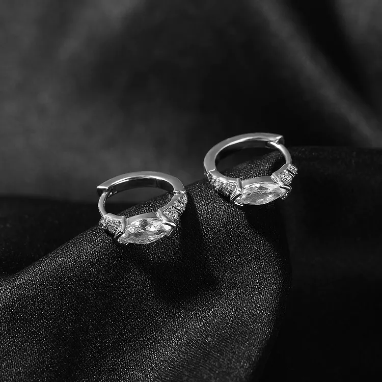 Iced 925 Silver Horse Eye Earrings Hip Hop For Women And Men
