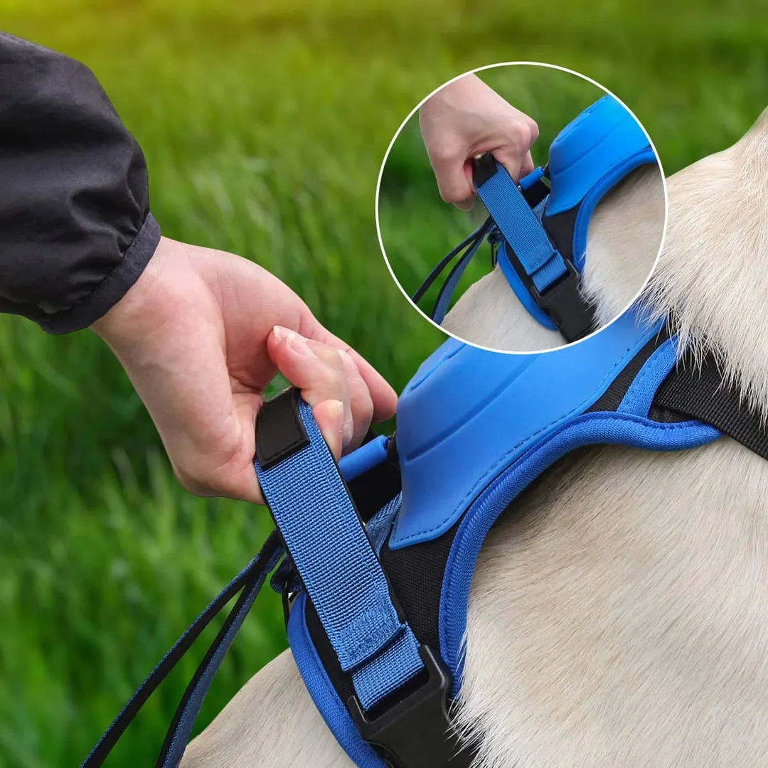 Poochbark&trade; 3 in 1 Dog Harness with Built-In Leash