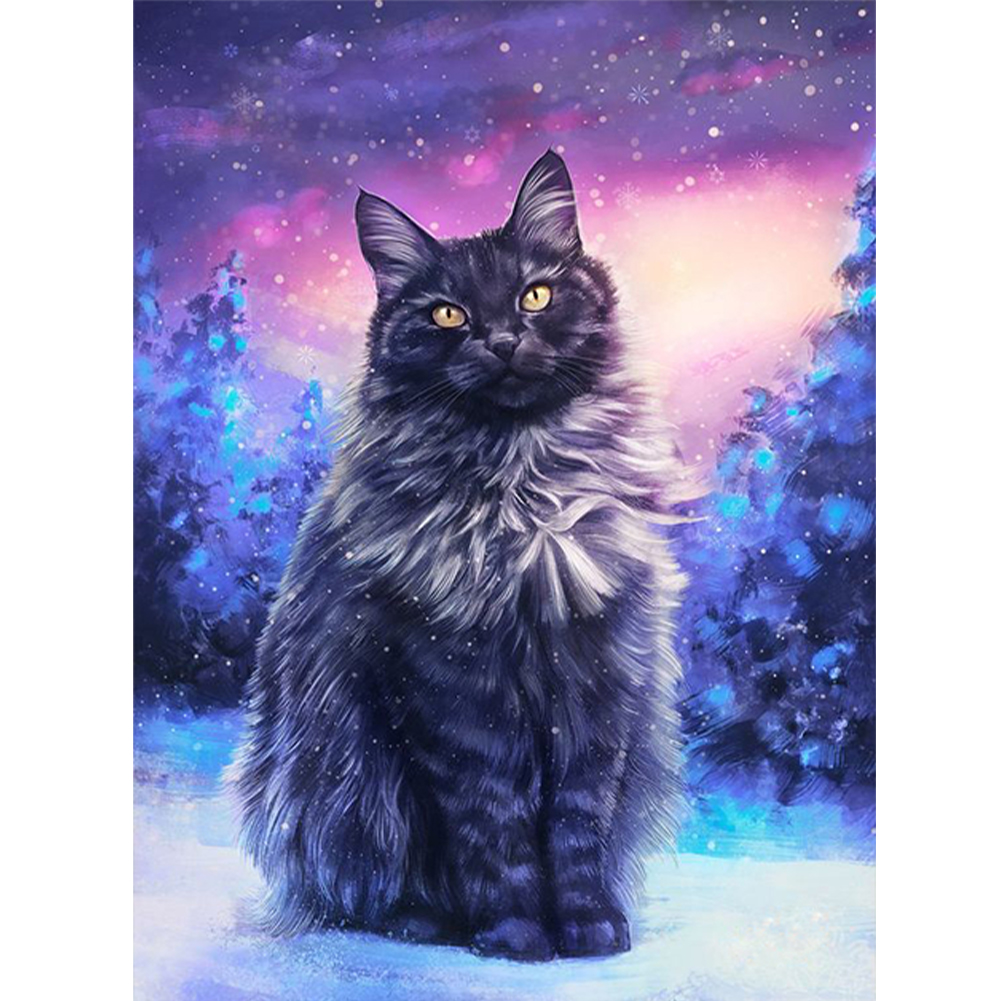 Black Cat On Snow-Paint by Numbers-30*40cm/40*50cm