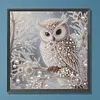 Owl-Partial Special Shaped Diamond Painting 30*30CM