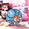 DIY Full Special Drill Diamond Painting Bird LED Night Lamp Home Decor (D)