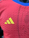 2024/2025 Portugal Special Edition Football Shirt 1:1 Thai Quality love fball