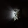 3D Animal LED Wall Light, Owl Wall Light, Bald Eagle Wall Light, Lion Wall Light, Bedroom, Living Room, Stairs, Corridor, Kitchen Wall Light, Decorative Art