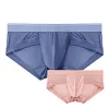 Men's Sexy Ice Silk Mesh Transparent Panties