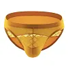 Men's Athletic Silk Underwear Low Rise Nylon Mesh Elastic Solid Pattern Sexy Briefs
